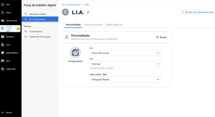 Definição de voz, tom e idioma